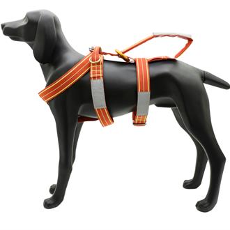 Taxi - Emergency harness for dogs KONG