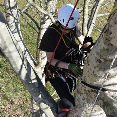 Lightweight Arborist Rope Access Pulley Tree Surgery Surgeon Climbing 25kN MBS 