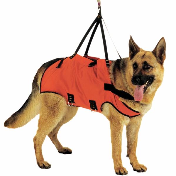 Taxi - Emergency harness for dogs KONG