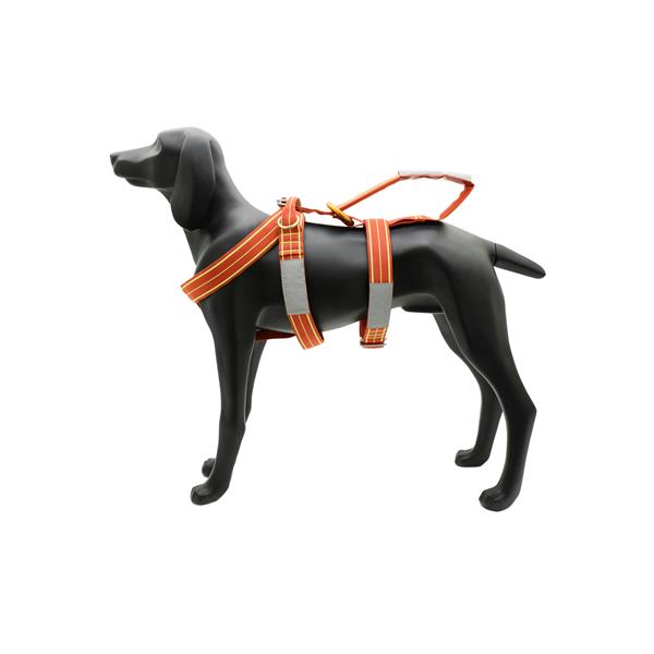 Lightweight harness for dogs