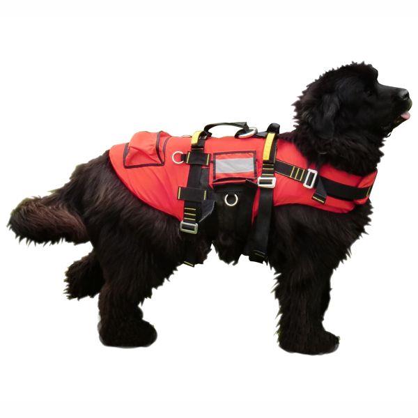 Kong life sales vest for dogs