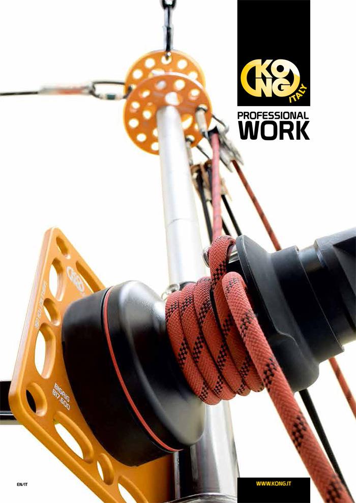 Kataloge KONG